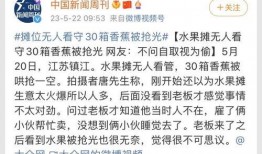南阳迷笛爆料案件最新,揭秘迷笛音乐节突发事件的背后真相