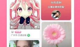 陨星爆料最新视频下载安装,揭秘神秘宇宙现象，带你领略星际奥秘