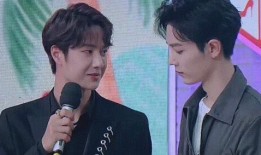 肖战王一博最新事件爆料,风波再起，真相揭秘！