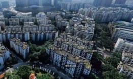 鸿阜园最新爆料信息,揭秘神秘项目背后的惊人真相