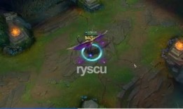 巴西老哥最新爆料视频大全,揭秘视频大全背后的惊人真相