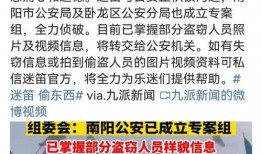 南阳迷笛爆料案件最新,揭秘迷笛音乐节突发事件的背后真相